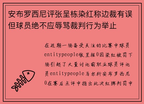 安布罗西尼评张呈栋染红称边裁有误但球员绝不应辱骂裁判行为举止